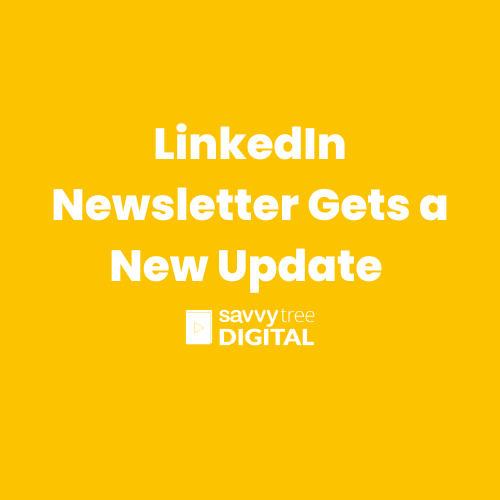 LinkedIn Newsletter Gets a New Update