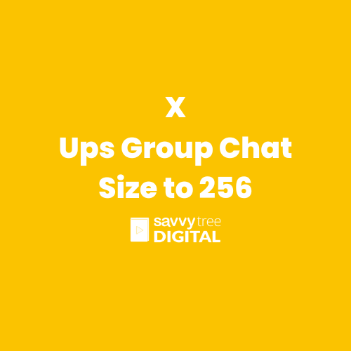X Ups Group Chat Size to 256