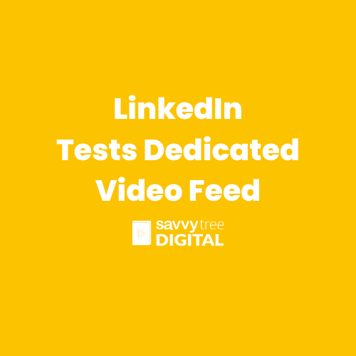 LinkedIn Tests Dedicated Video Feed