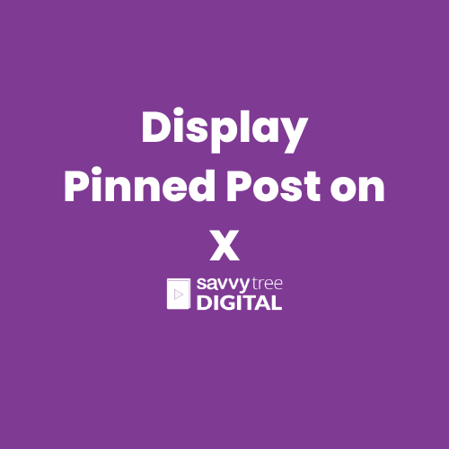 Display Pinned Post on X