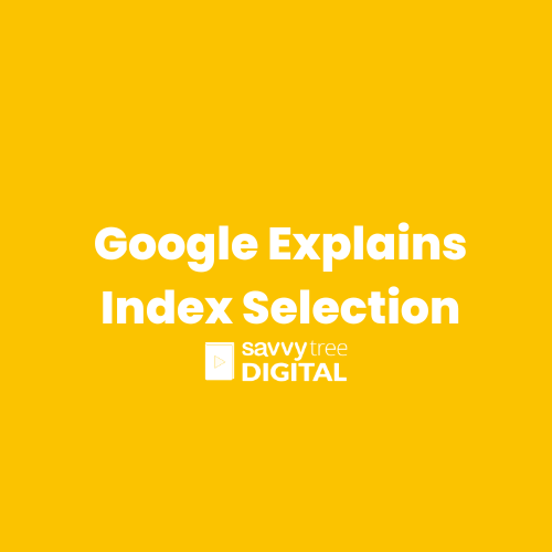 Google Explains Index Selection