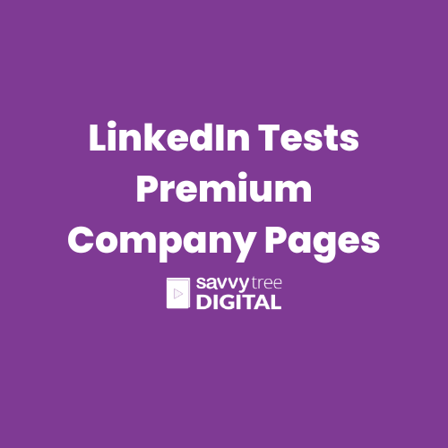 LinkedIn Tests Premium Company Pages Subscription